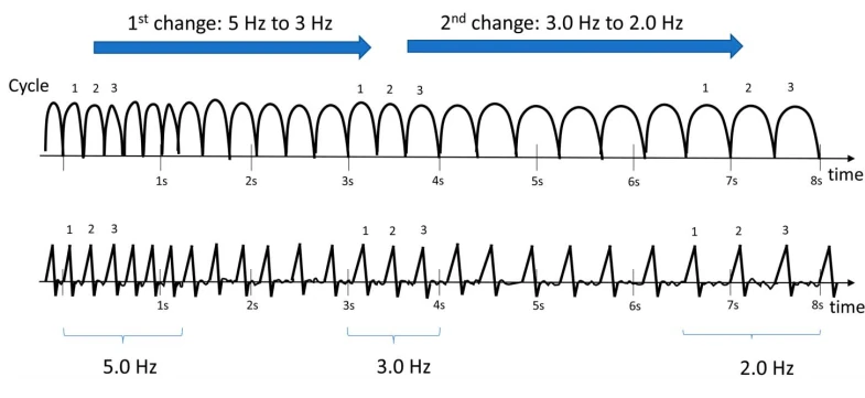 Morphology Evolution